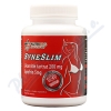 Syneslim synefrin+karnitin tbl.120