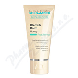 Dr.Schrammek Blemish Balm Honey 40ml