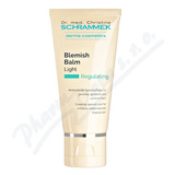 Dr.Schrammek Blemish Balm Light 40ml