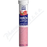 Maxi Vita Hok+vit.B6 B12+biotin tbl.eff.20