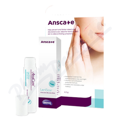 AnsCare LeniScar silikonov tyinka 4.0g