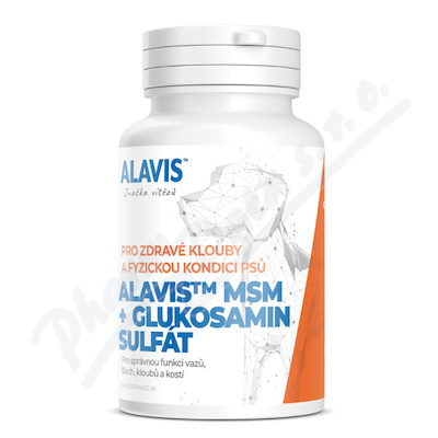 ALAVIS MSM+Glukosamin sulft tbl.60